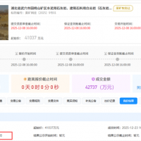 1.5元/噸！亞東水泥競得湖北武穴950萬噸/年砂石大礦